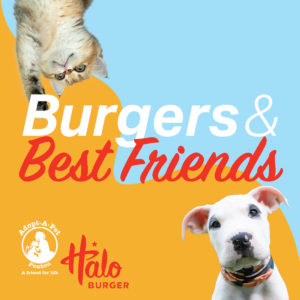 Burgers & Best Friends @ Halo Burger - Leroy St | Fenton | Michigan | United States